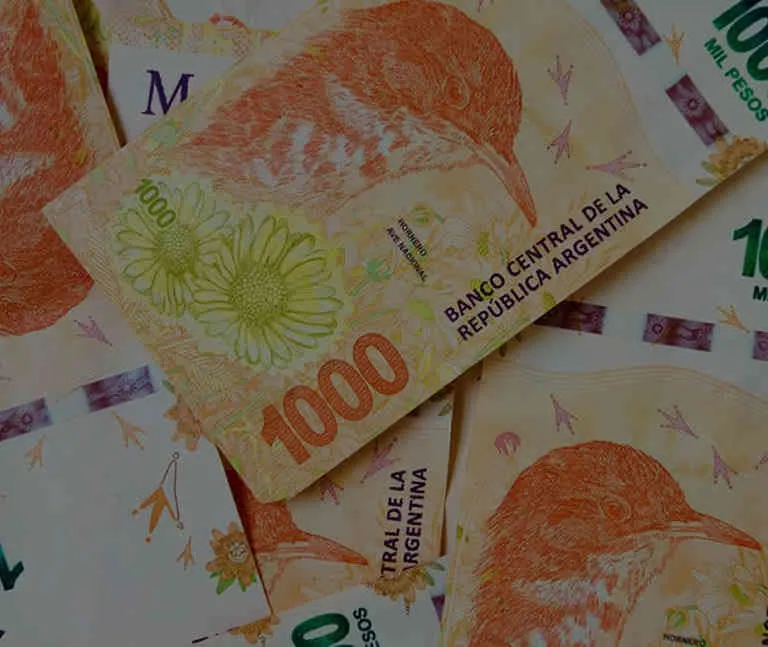 PesosArgentinosNvo768r