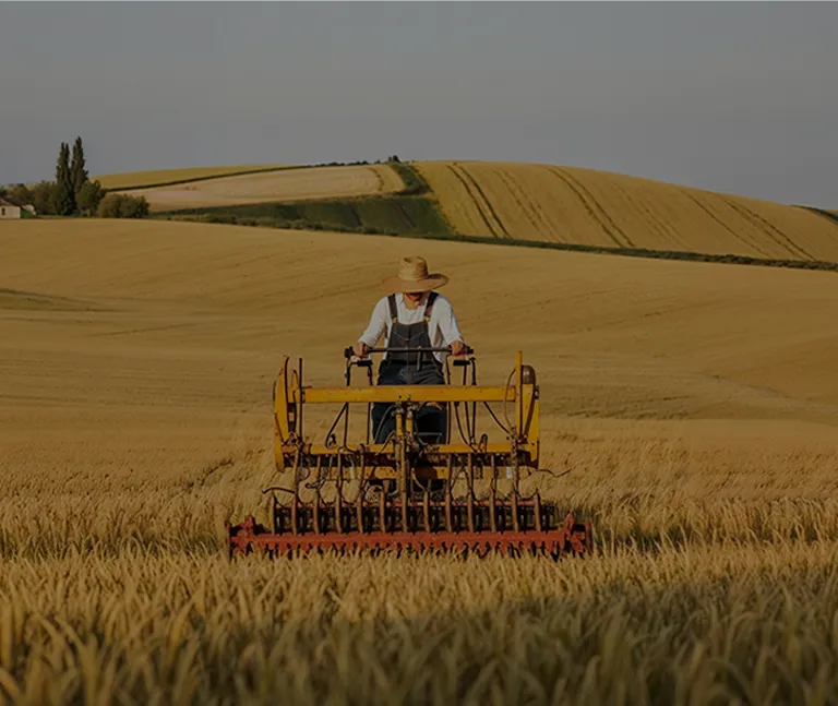 trabajoAgrarioSalarios3.768.fw